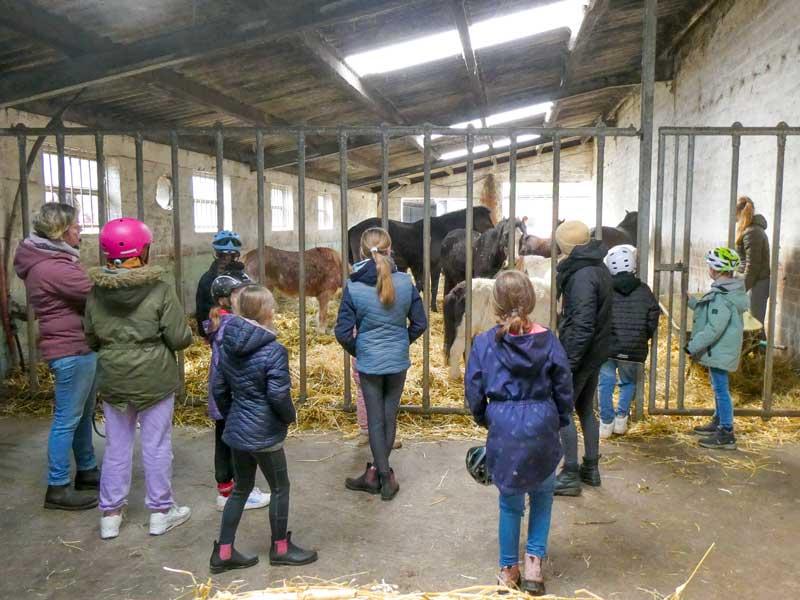 Wellenbrechen Reitfreizeit