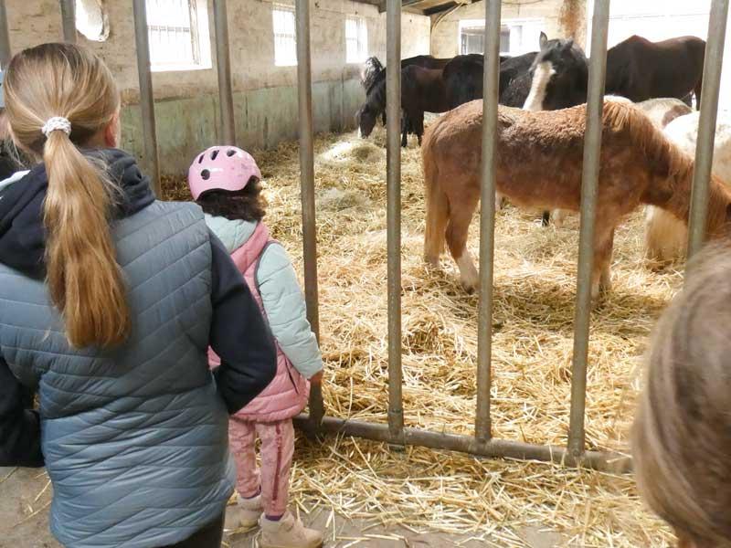 Wellenbrechen Reitfreizeit