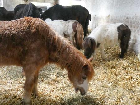 Wellenbrechen Reitfreizeit